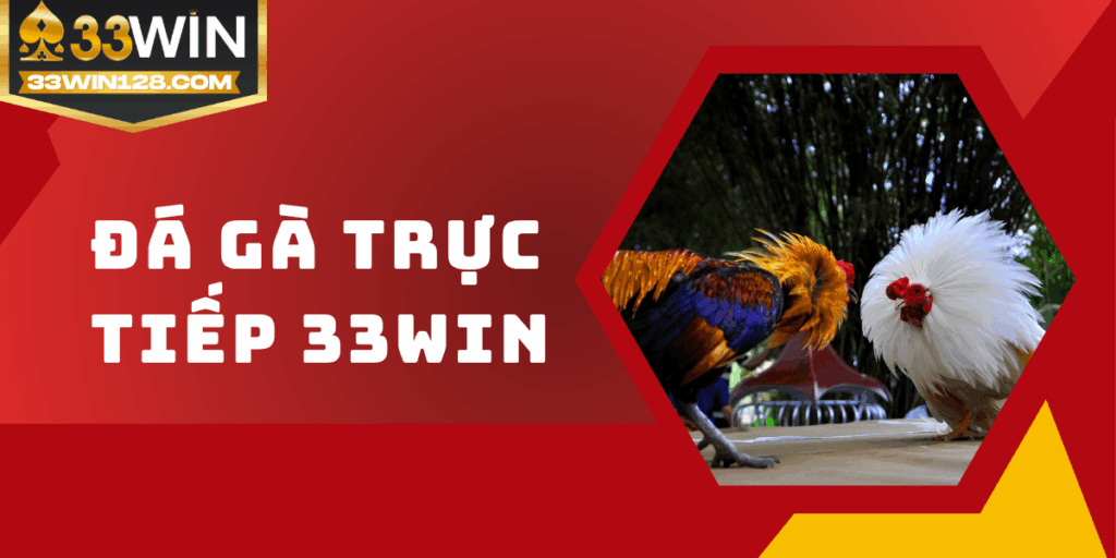 Đá gà trực tiếp 33win - Mãn nhãn với từng pha ra đòn kịch tính