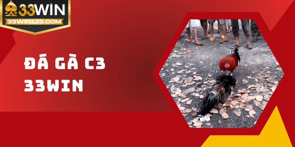 Đá gà C3 33win - Đấu trường chọi kịch tính, hấp dẫn từng giây