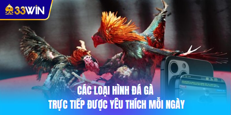 Các loại hình đá gà trực tiếp được yêu thích mỗi ngày