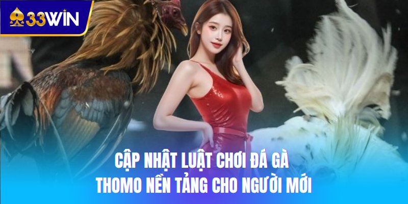 Cập nhật luật chơi đá gà Thomo nền tảng cho người mới