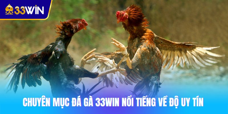 Chuyên mục đá gà 33win nổi tiếng về độ uy tín