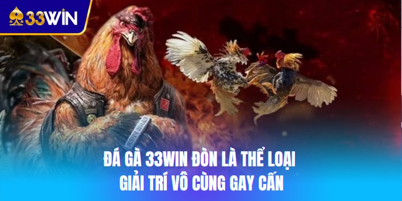 Đá gà 33win đòn là thể loại giải trí vô cùng gay cấn