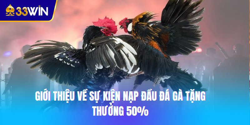 Giới thiệu về sự kiện nạp đầu đá gà tặng thưởng 50%