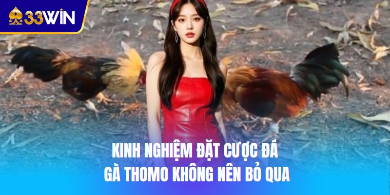 Kinh nghiệm đặt cược đá gà Thomo không nên bỏ qua