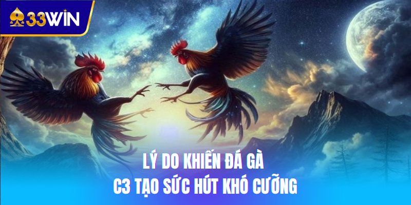 Lý do khiến đá gà C3 tạo sức hút khó cưỡng