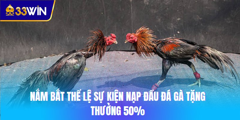 Nắm bắt thể lệ sự kiện nạp đầu đá gà tặng thưởng 50%
