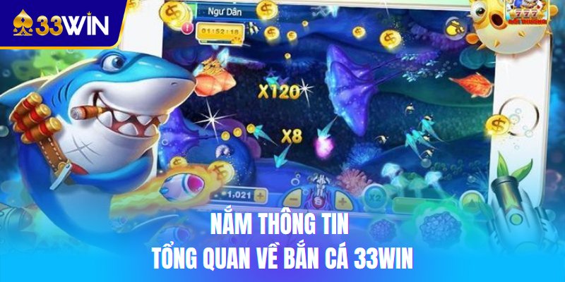 Nắm thông tin tổng quan về bắn cá 33win
