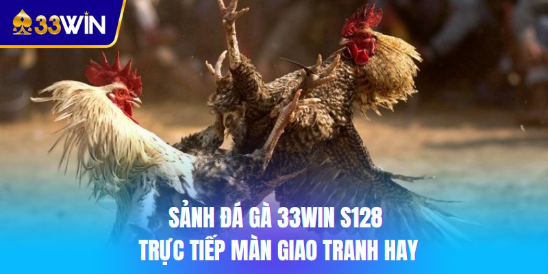 Sảnh đá gà 33win S128 trực tiếp màn giao tranh hay