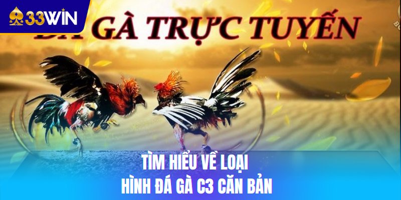 Tìm hiểu về loại hình đá gà C3 căn bản