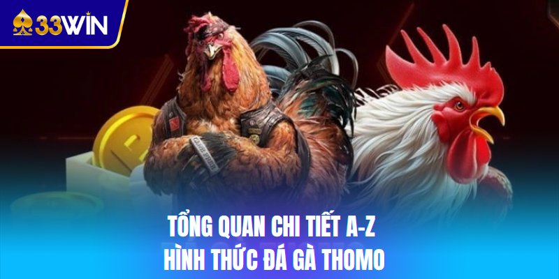 Tổng quan chi tiết A-Z hình thức đá gà Thomo