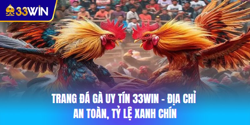 Phân biệt trang đá gà uy tín với địa chỉ lừa đảo